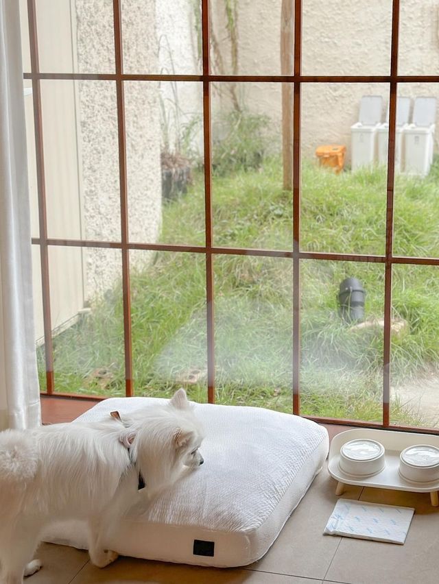 메이와 함께 감성 속으로 풍덩, 오늘의 우리 집🏡
