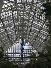 世界文化遺產之Kew Gardens‼️百年溫室❤️欣賞大同花卉