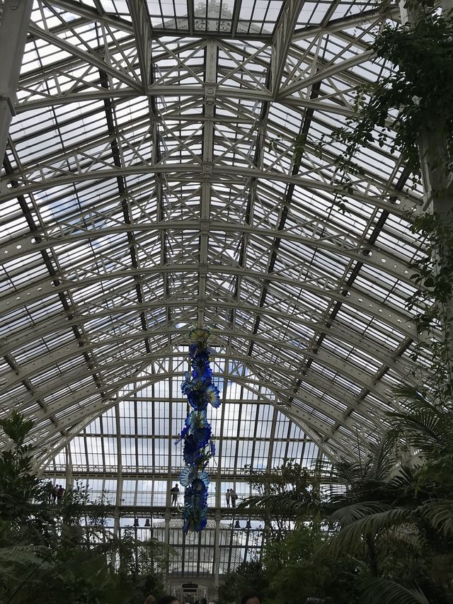 世界文化遺產之Kew Gardens‼️百年溫室❤️欣賞大同花卉