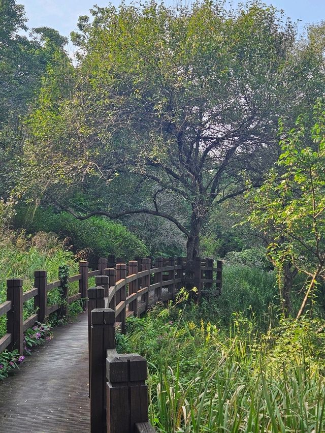 피톤치드 가득한 포천 국립수목원🌳