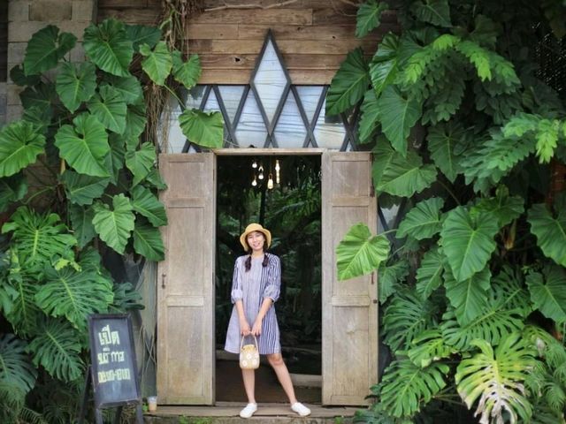 The Forest สวนป่าคาเฟ่ จ.อุตรดิตถ์