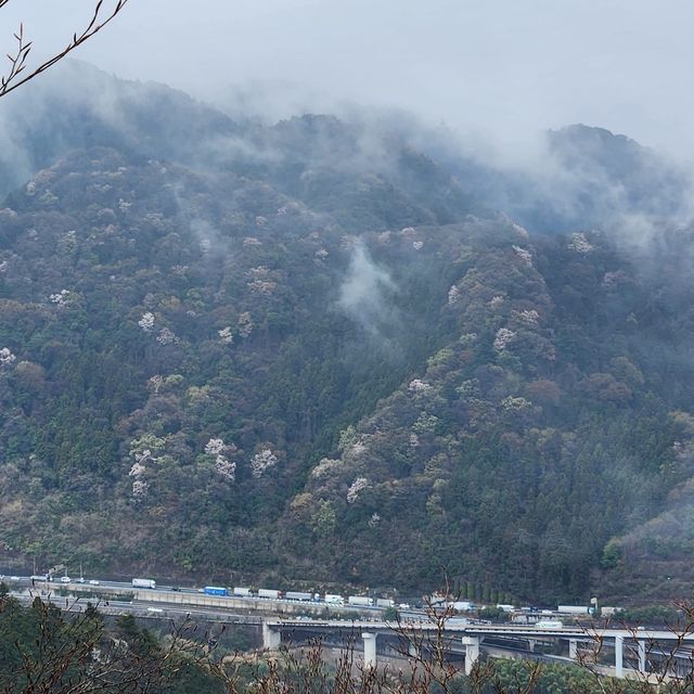 walking trail at Mt Takao