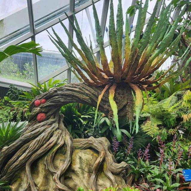 Cloud Forest At Gardens By The Bay