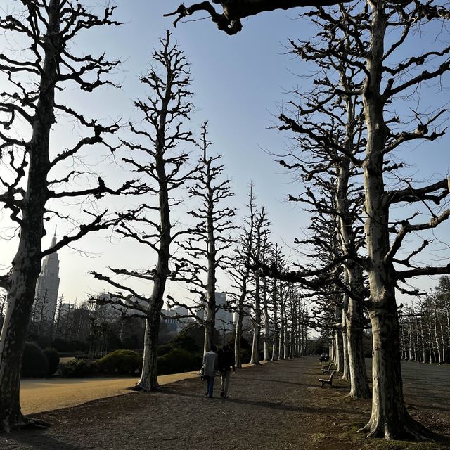 Shinjuku Gyoen National Garden on a sunny afternoon 