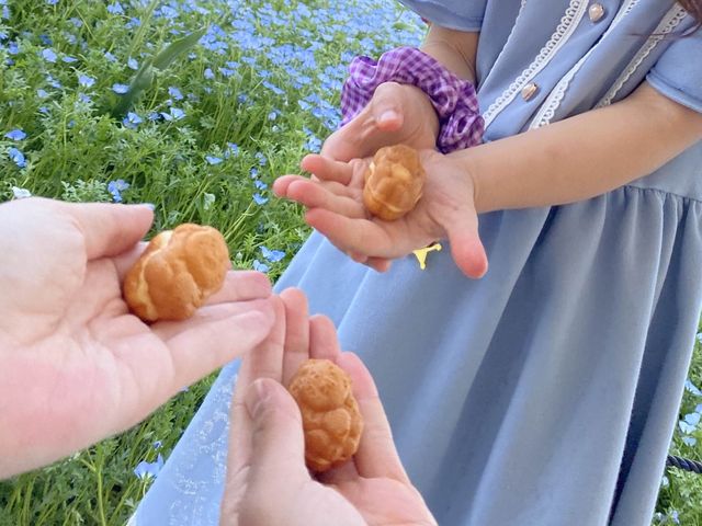 【大阪】春はネモフィラ畑に行こう！