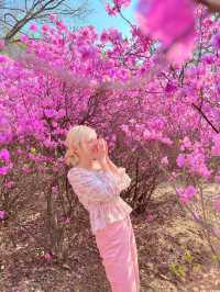말그대로 꽃동산 그 자체💕