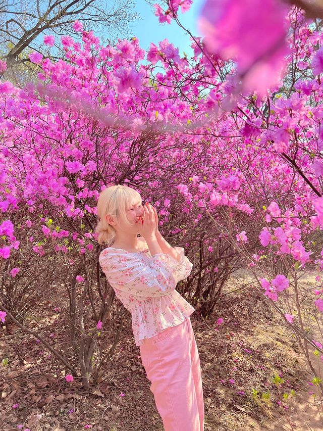 말그대로 꽃동산 그 자체💕