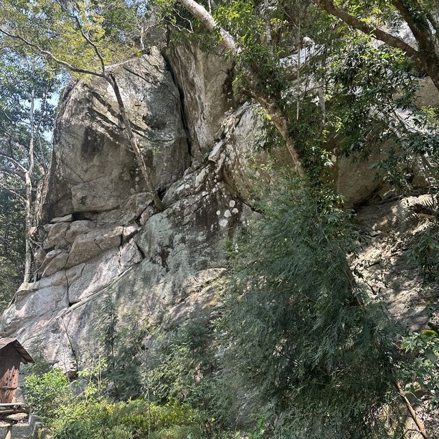 新竹踏青景點！新竹青蛙石天空步道！天然形成青蛙石🪨值得一看！