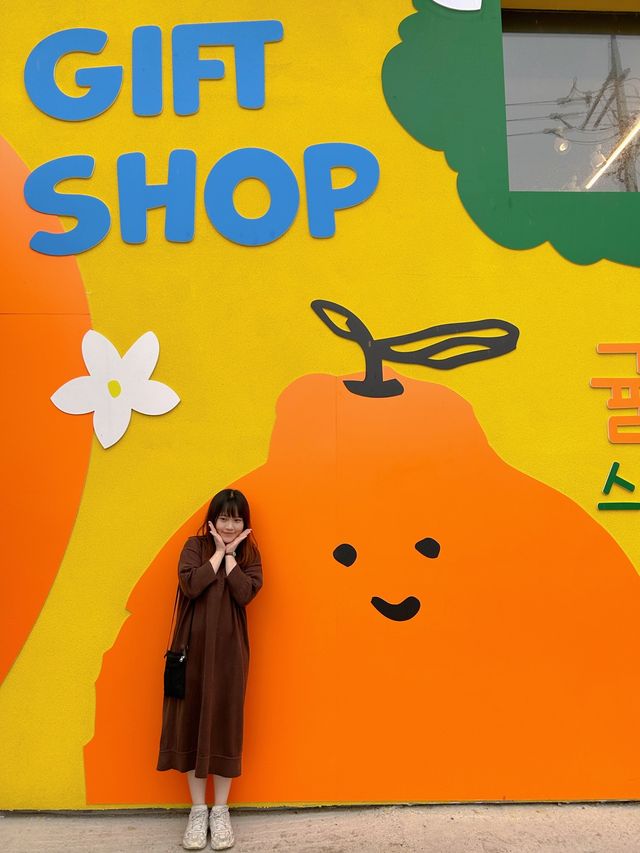 濟洲必到打卡點！彩虹海岸公路