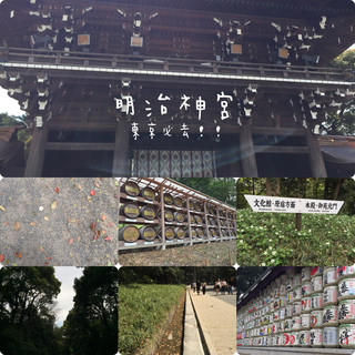 東京市內推薦景點🥰新手必去‼️明治神宮