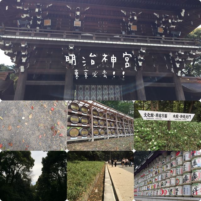 東京市內推薦景點🥰新手必去‼️明治神宮
