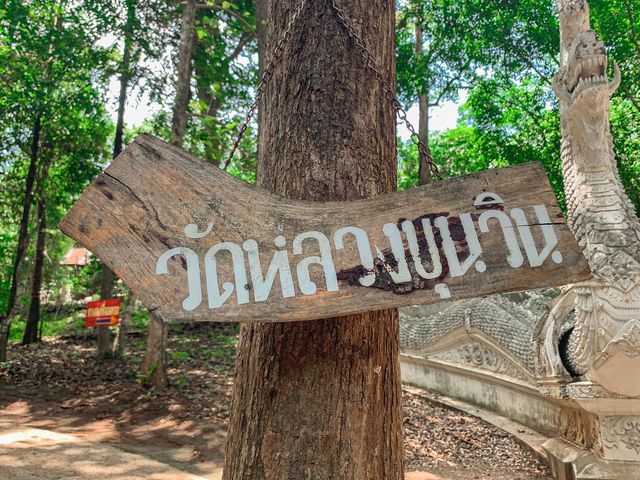 🔆 อันซีนเชียงใหม่ ใจกลางป่าลึก "วัดหลวงขุนวิน"