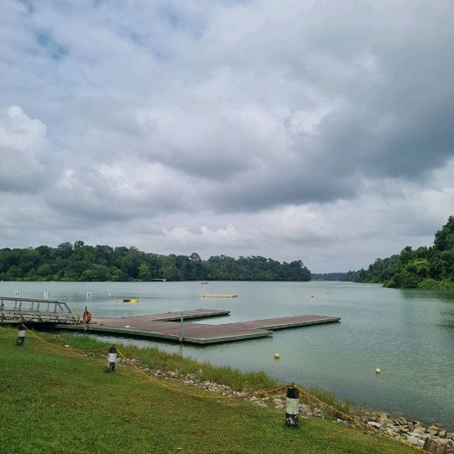 Macritchie Reservoir Like Never Before