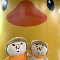 Fatty Puffy meet Duckys