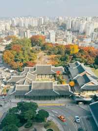 서울 단연 최고의 호캉스 스테이 서울 신라호텔🌊