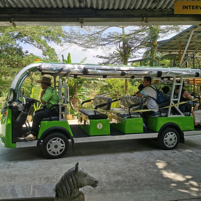 Fun Zipline Activities in Borneo Happy Farm