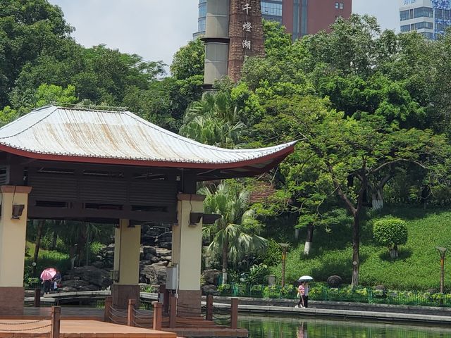 1300 盞景觀燈 @ 佛山千燈湖公園