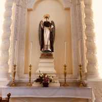 Saint Dominic's Church Nature 