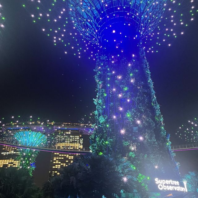 ガーデンラプソディー🌲✨