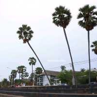 เช็คอิน กิน เที่ยว หาดปากน้ำปราณ