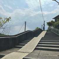 全球六大賞貓景點！新北市猴硐貓村🐱
