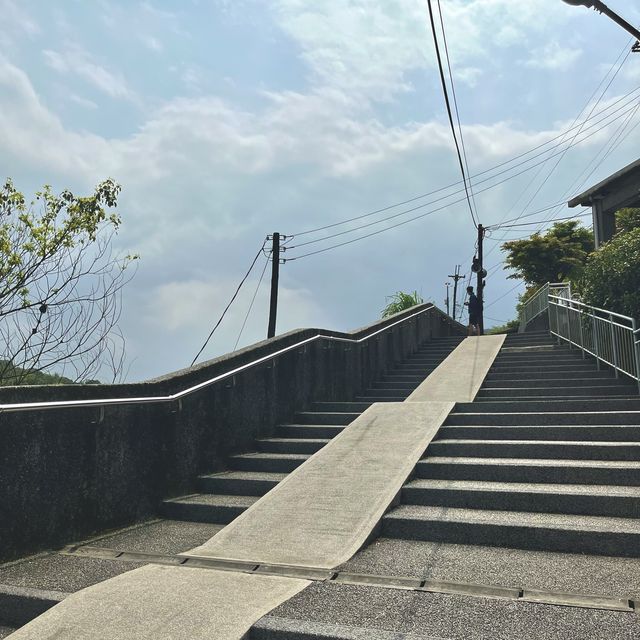 全球六大賞貓景點！新北市猴硐貓村🐱