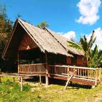 Amazing our jungle house 