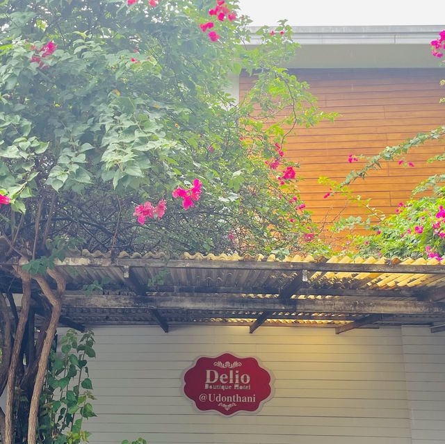 เที่ยวอุดรนอนไหนดี ที่พัก ราคาหลักร้อย 