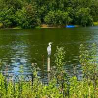 SCENIC BOATING LAKE IN LONDON!