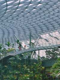 《新加坡》世界最高室內瀑布 樟宜機場必拍雨漩渦-星耀樟宜
