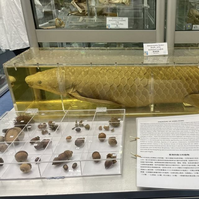 🦋探索奇妙的生物世界-生物多樣性博物館🌿
