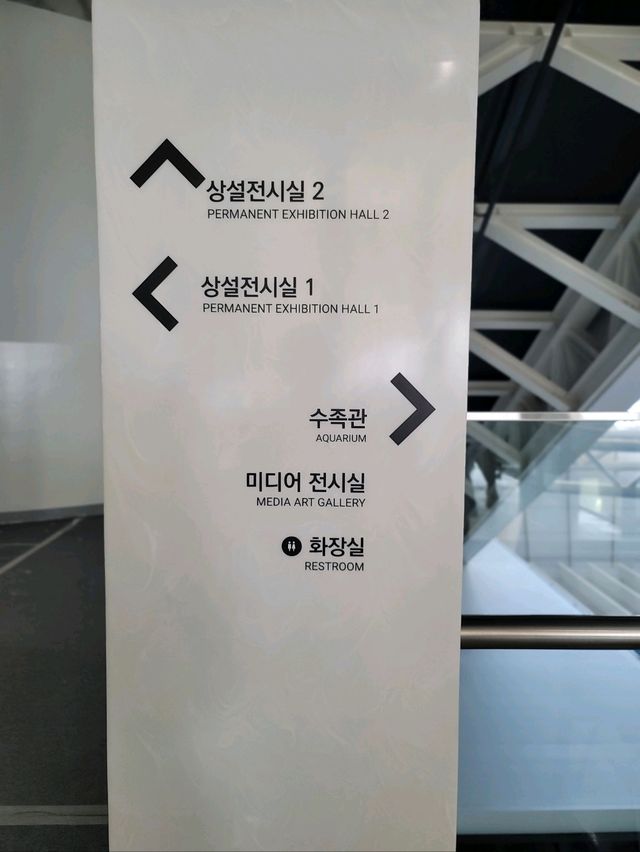무료로 즐기는 국립해양박물관 수족관🩵