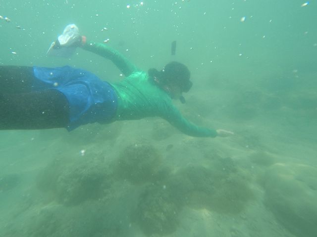 🌟小丑魚天堂🪸｜娥媚洲浮潛之旅🤿