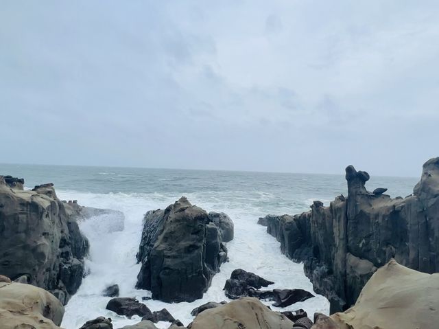 驚濤駭浪邊的鵜戶神宮⛩️