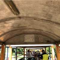 來臺南後壁區「烏樹林」，體驗世界上最慢的火車