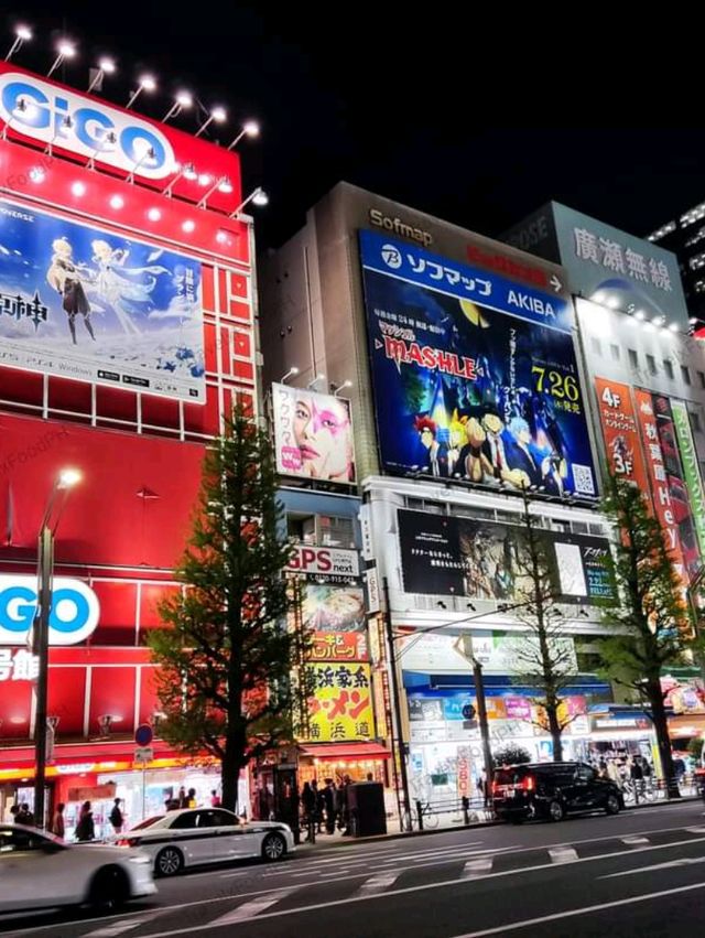 Must Visit!!! Akihabara Tokyo Japan 