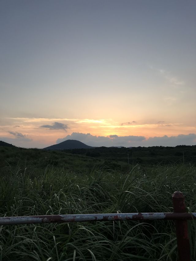제주 노을맛집 용눈이오름🌳⛰️
