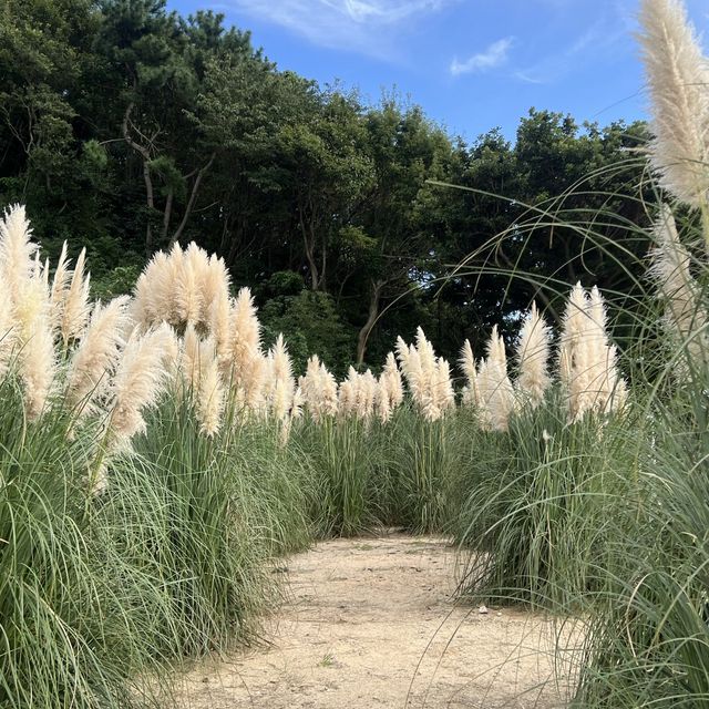 신선대 정원 포토존이 가득한 카페 바람의언덕