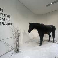 NuDake Gentle Monster Cafe @ Dosan Seoul