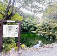 富士山本宮淺間大社