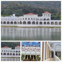 賞鬱金香🌺@Lake House😍