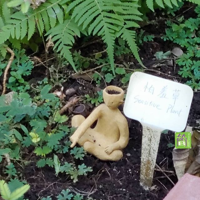 本地遊好去處《一樹無聲》展覽