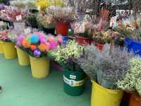 The Biggest Chinese New Year Flower Market In Hong Kong