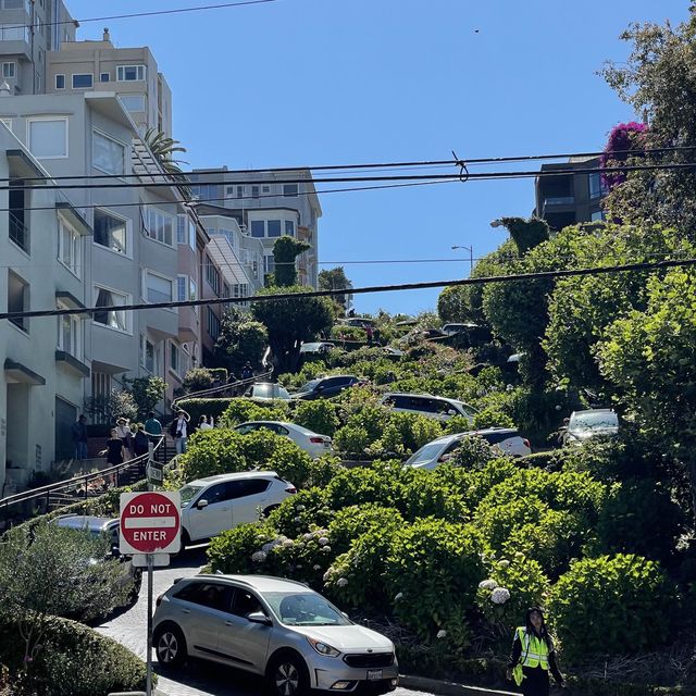 Lombard Street - Zip zap 