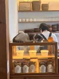 韓国/ソウル【安国】グリークヨーグルトとサンドイッチが美味しいお店🤍🥪