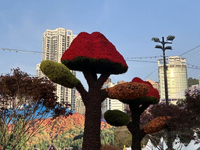 “Bliss in Bloom” Hong Kong Flower Show 