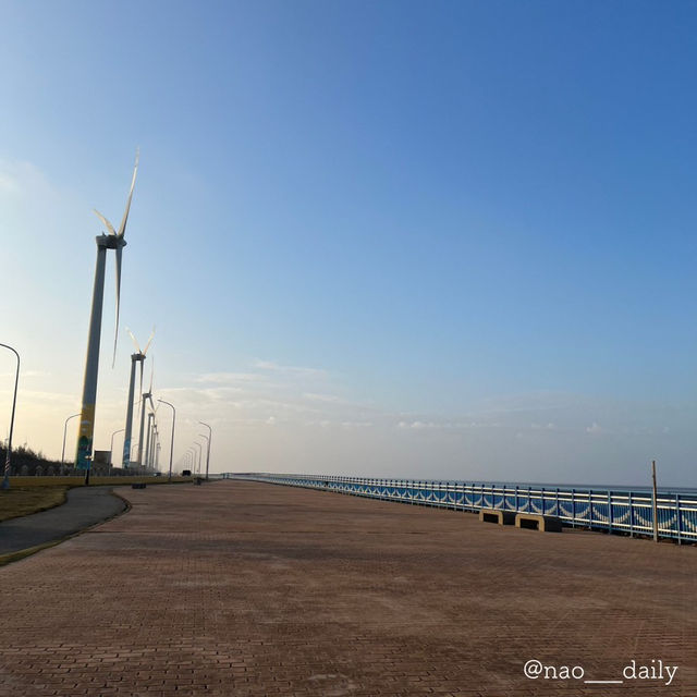 【台中の絶景スポット☀️高美湿地】