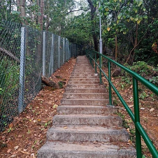 行山行山