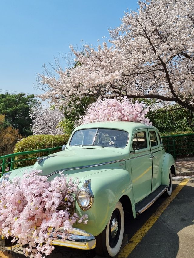 이월드 포토존 사진 남기기 꿀팁!🌸