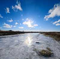 Icy Oasis: Winter's Hold on Sandy Hook's Pond